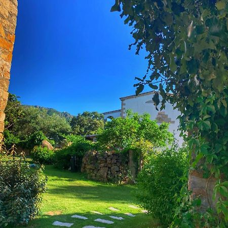 Agriturismo Casteddu Padru Buitenkant foto