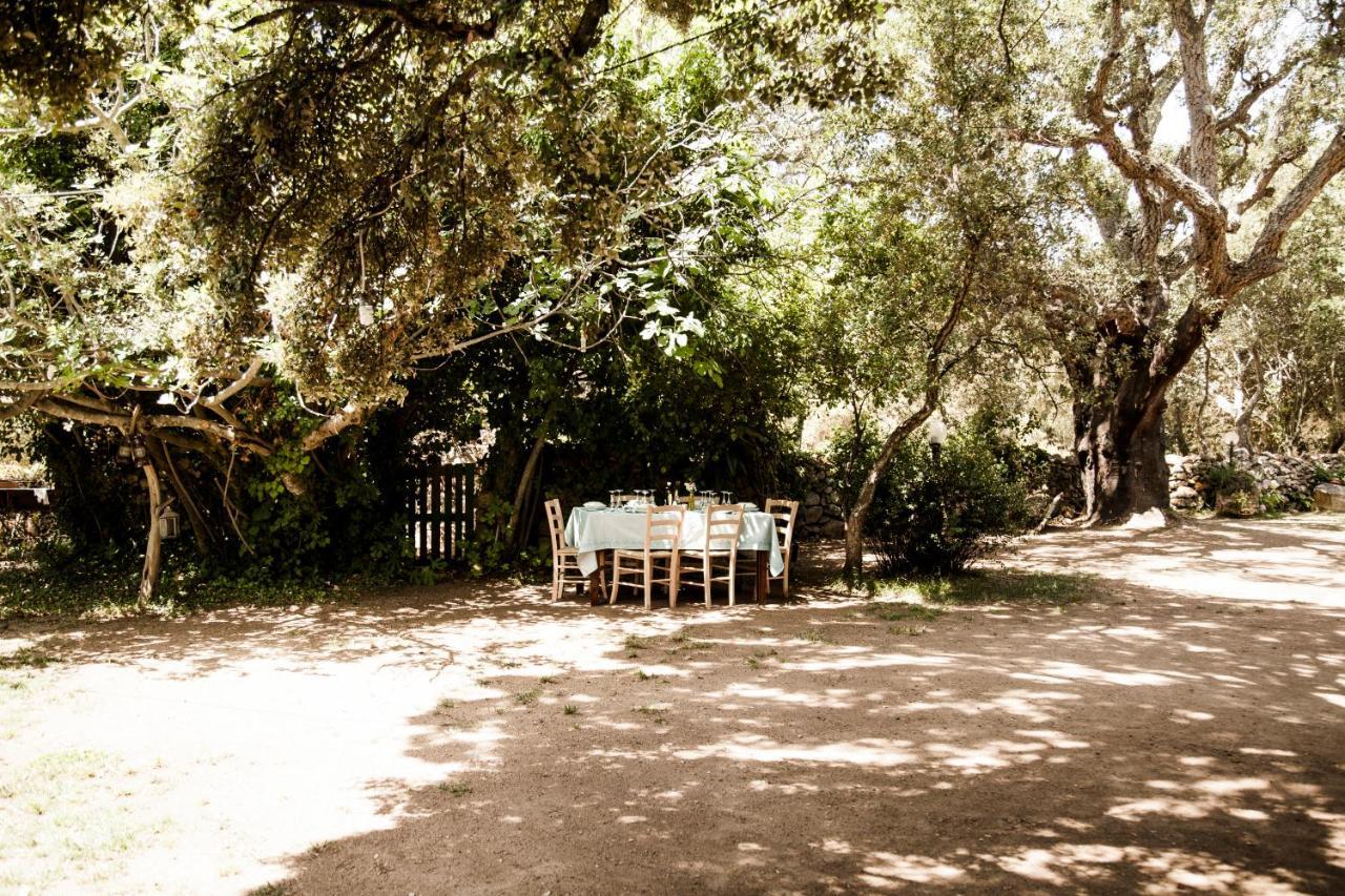 Agriturismo Casteddu Padru Buitenkant foto