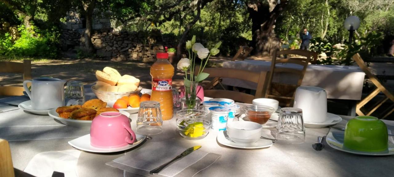 Agriturismo Casteddu Padru Buitenkant foto