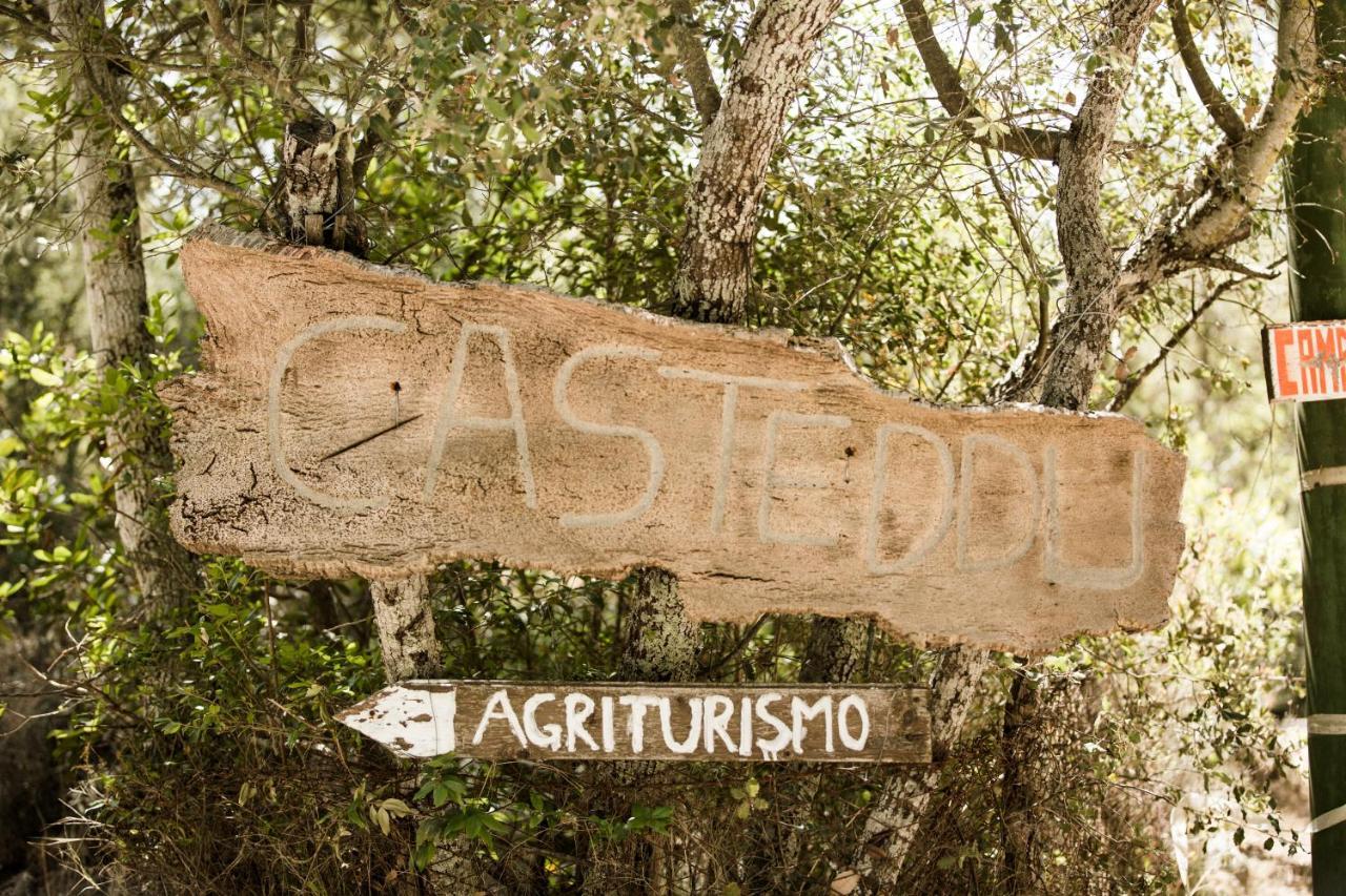 Agriturismo Casteddu Padru Buitenkant foto