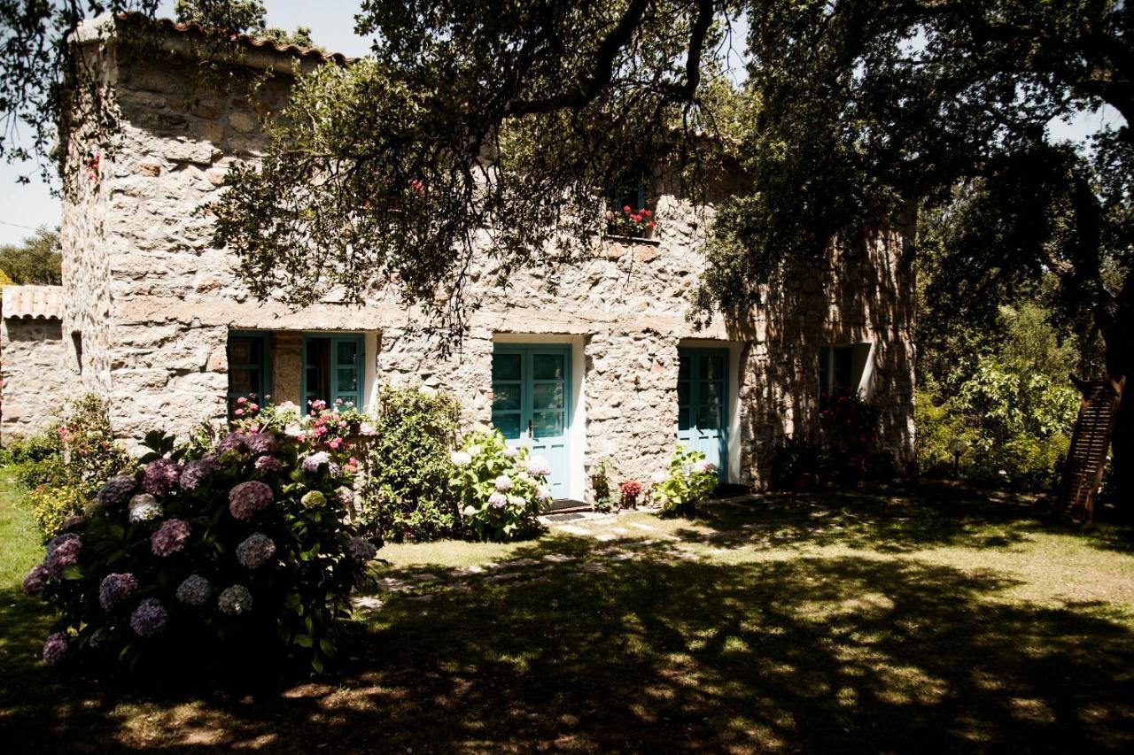 Agriturismo Casteddu Padru Buitenkant foto