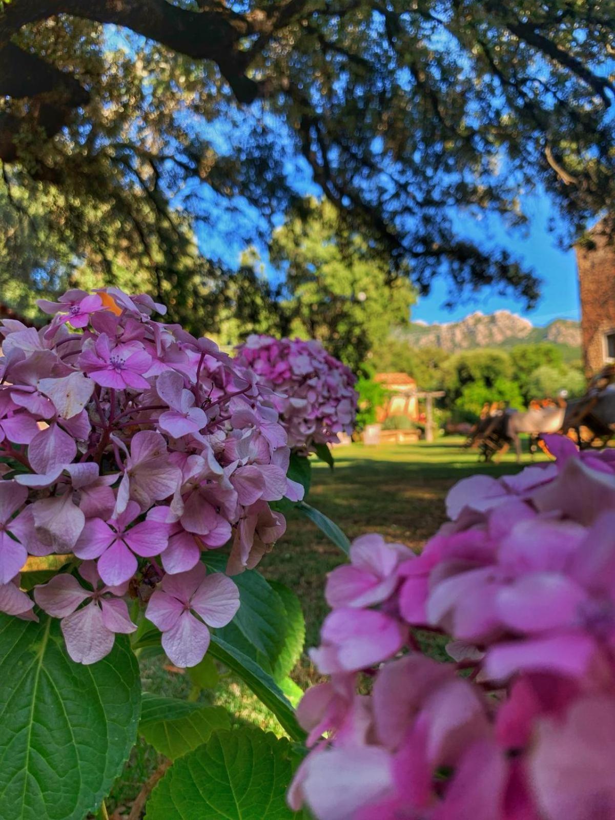 Agriturismo Casteddu Padru Buitenkant foto