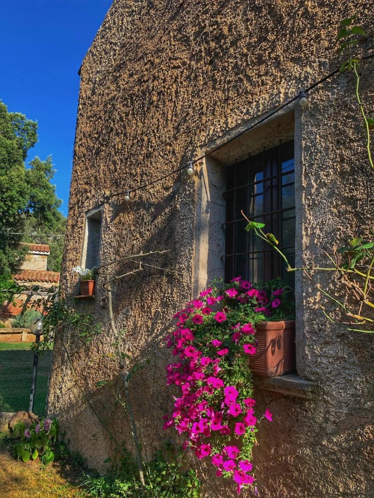 Agriturismo Casteddu Padru Buitenkant foto