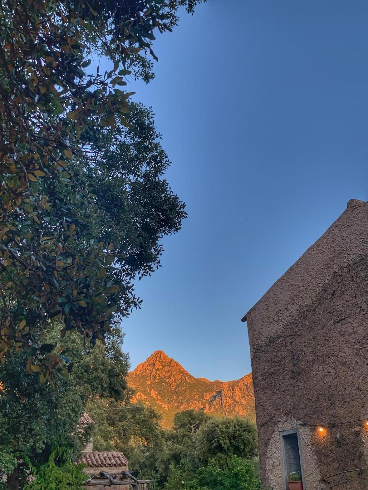 Agriturismo Casteddu Padru Buitenkant foto