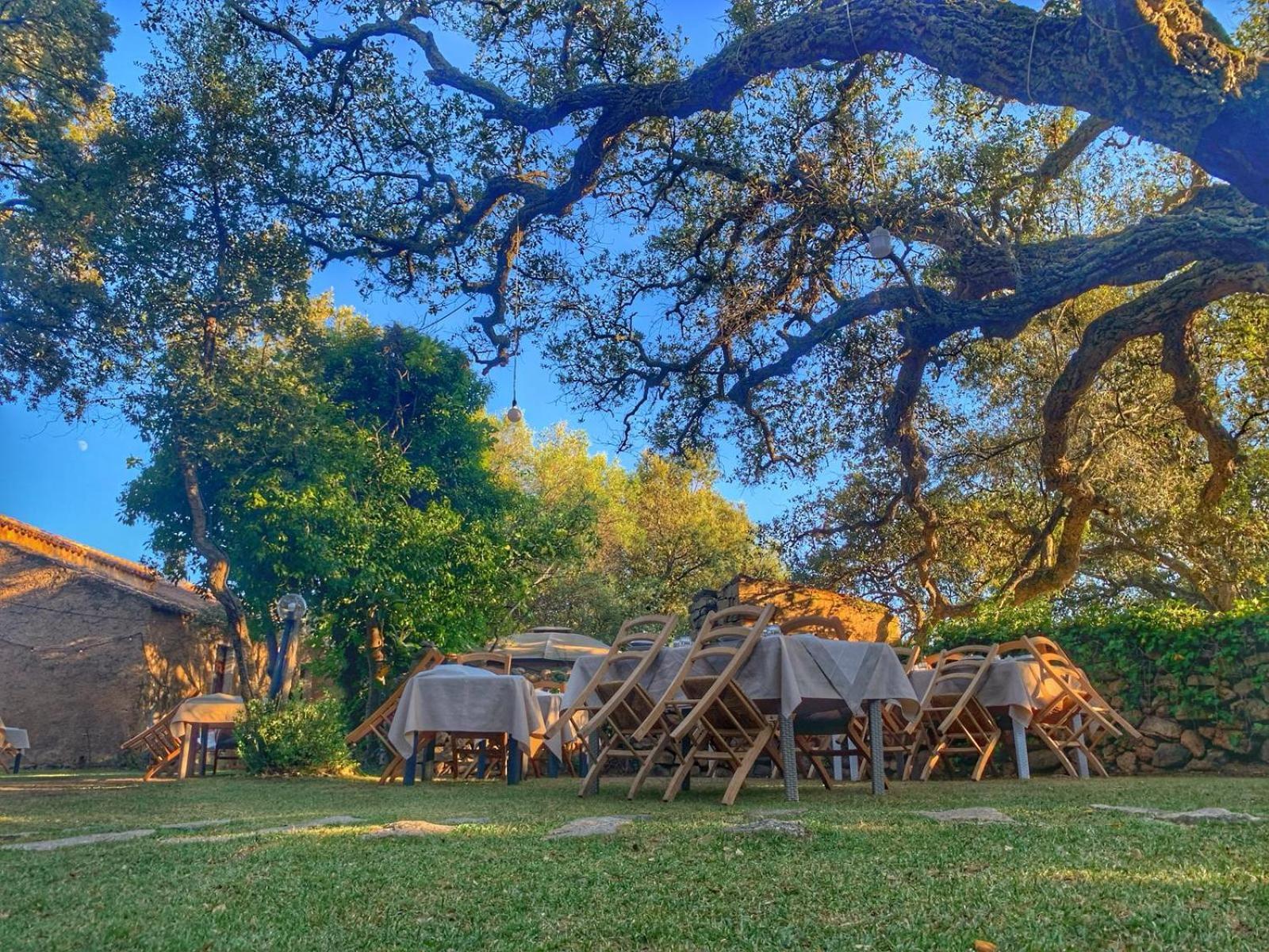 Agriturismo Casteddu Padru Buitenkant foto
