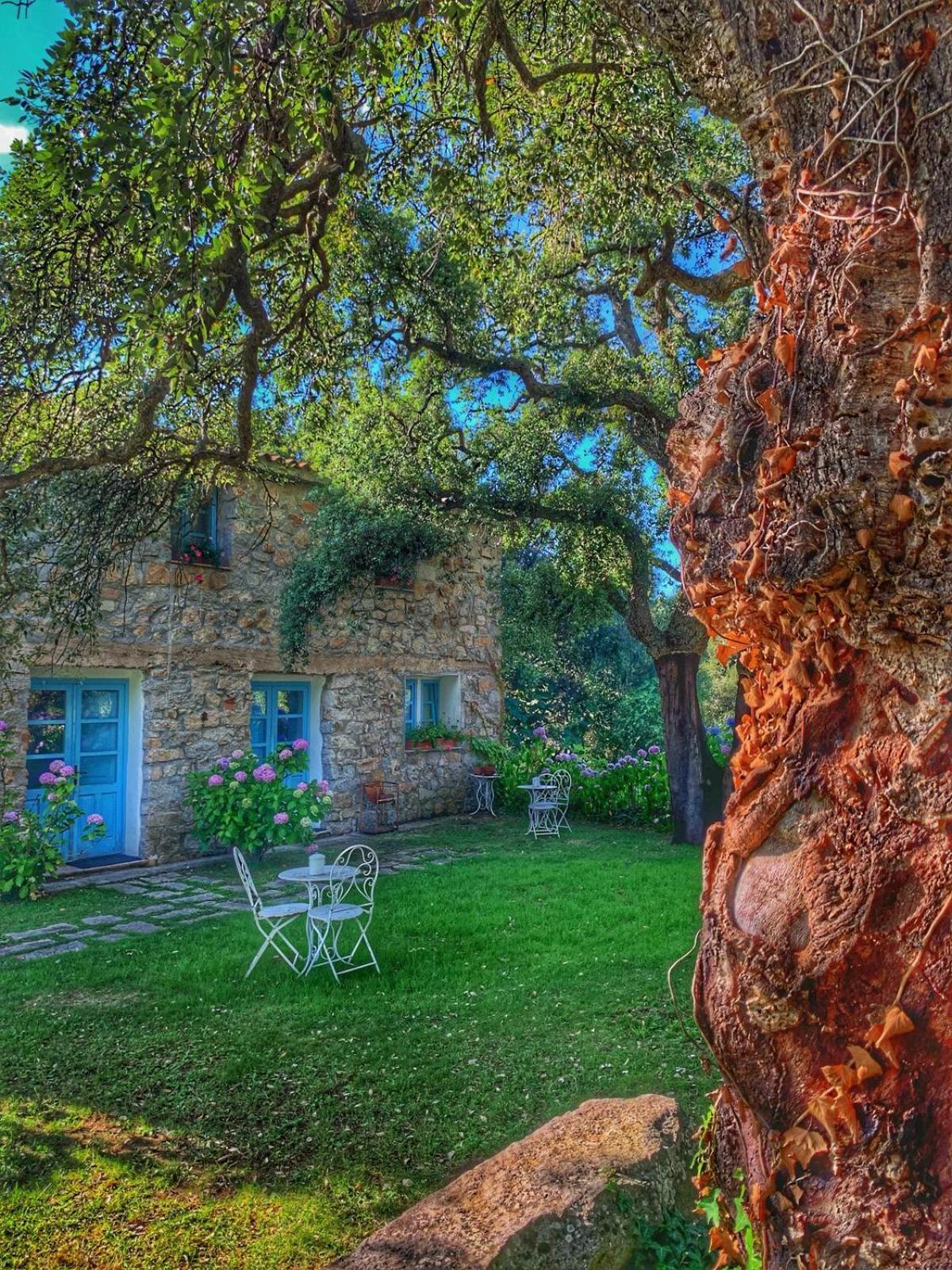 Agriturismo Casteddu Padru Buitenkant foto